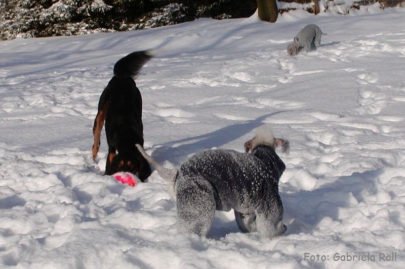 Quincy 2009-01-05 (2).JPG